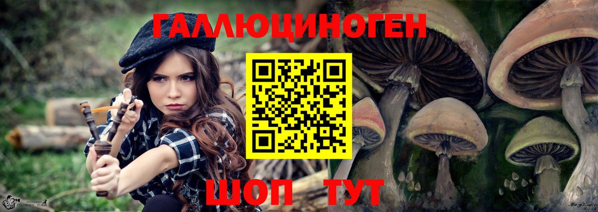 Когалым  Псилоцибиновые грибы Psilocybe  Вход с VPN 